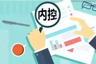企業(yè)如何建立有效的內(nèi)部控制制度 理論與實務(wù)指導(dǎo)